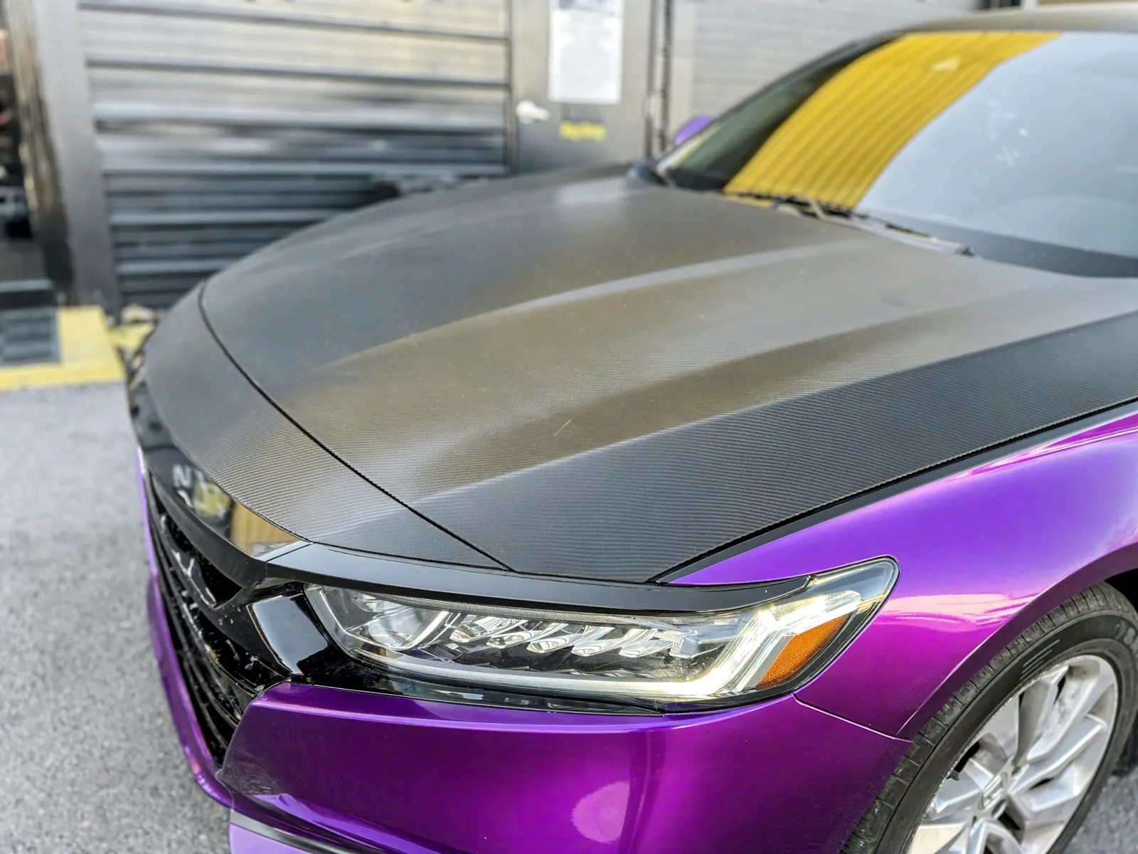 Honda Accord — Carbon Fiber Hood Wrap